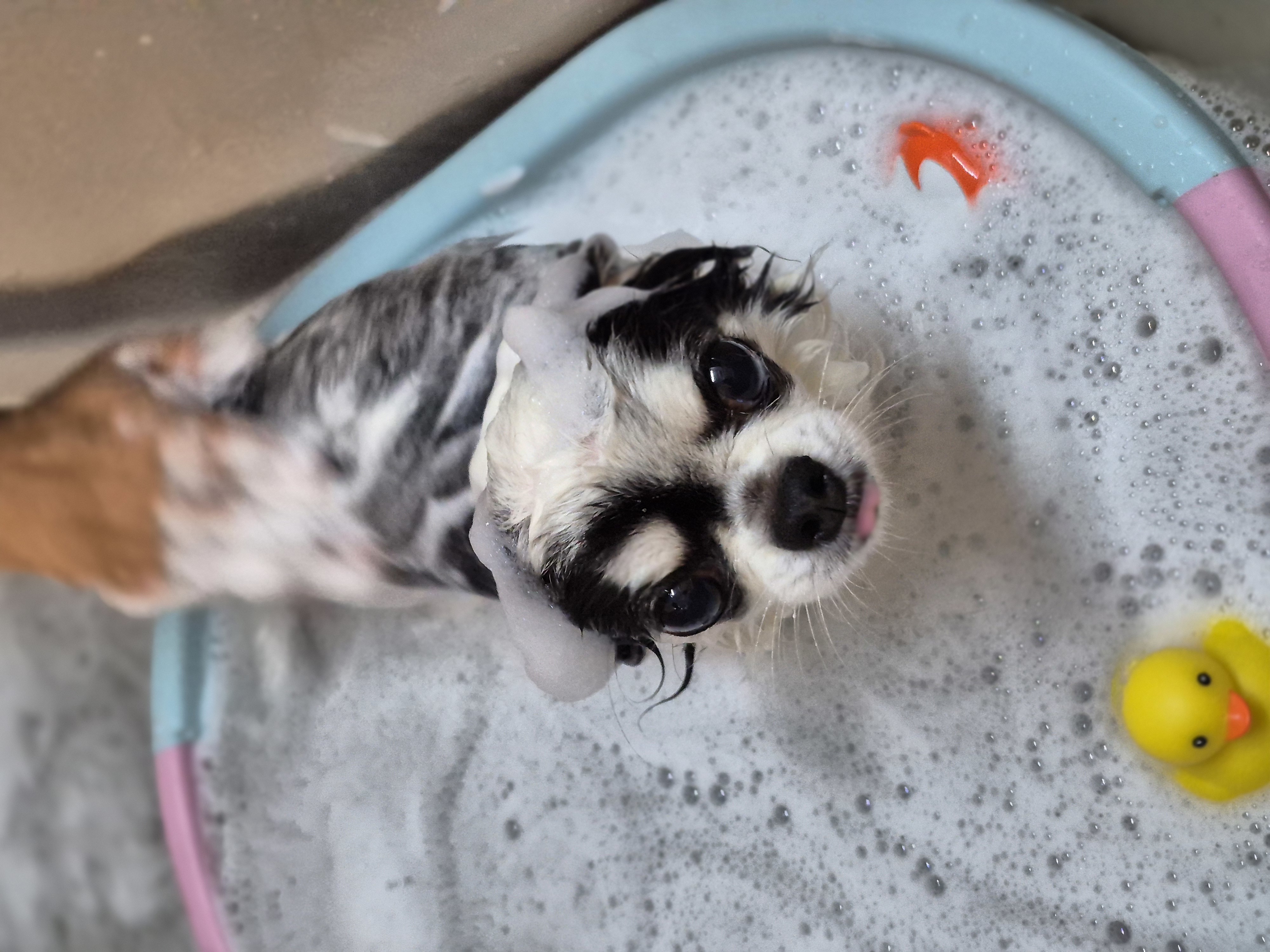 1035b823e197baeaaedb0d074ee57a7aaeaacd2a