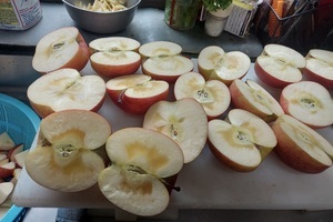 92218f3eb1b20dca16c94e14d21b0483e15d81ca