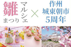 B86d09cd876bb4e3f6071129109fa7710fbff6b3