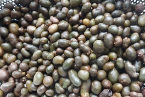 Bdbc22e213417a83adf830455db0494bd372b7a1