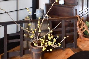 D8a4b023441840195548129361d201a8973f8442