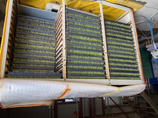 141bbab36d94a7c1bd0a3383921612a5dce7ede5