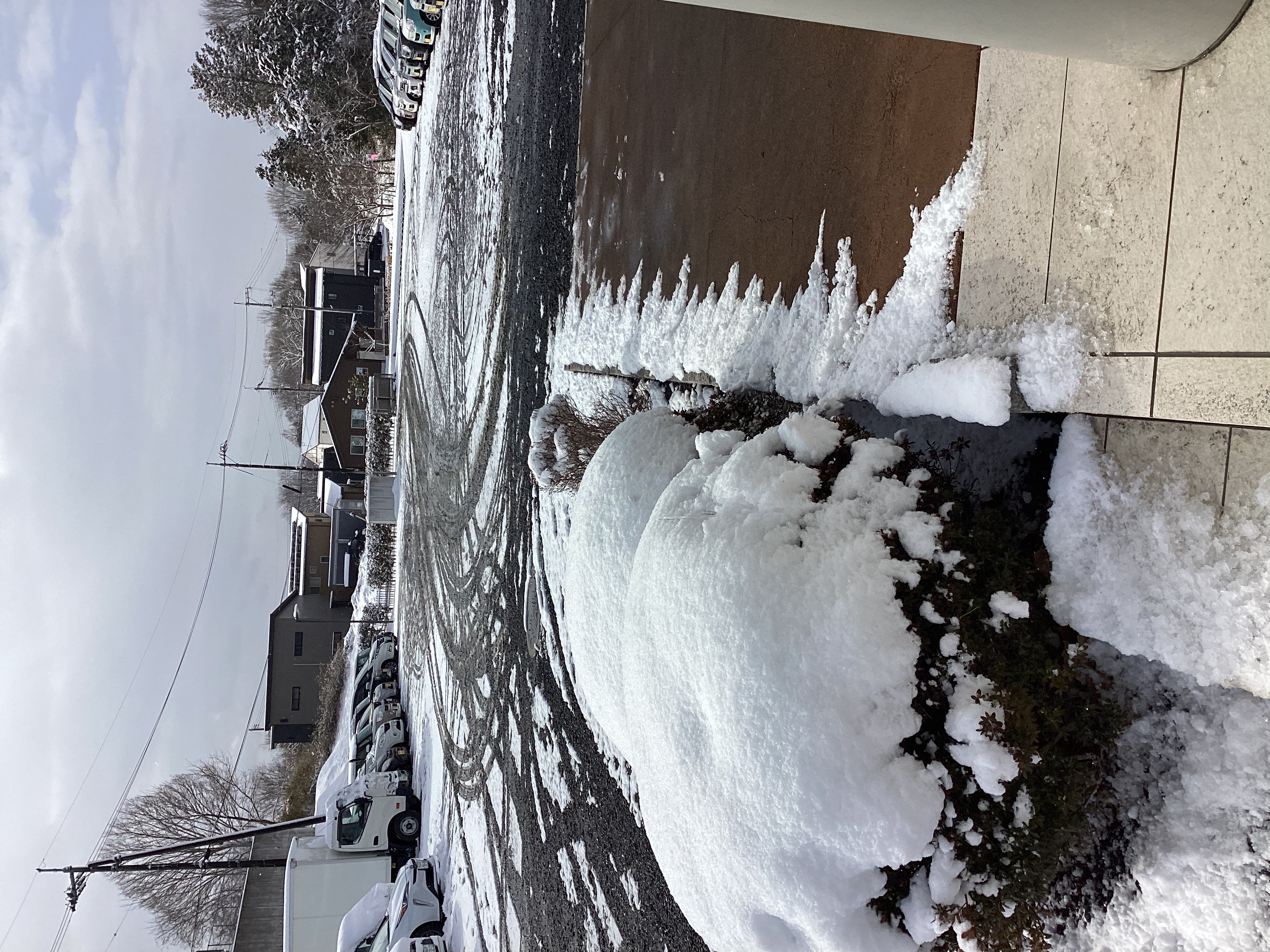 1590e966a2c6a57d8863e32361a7a9516774cf91