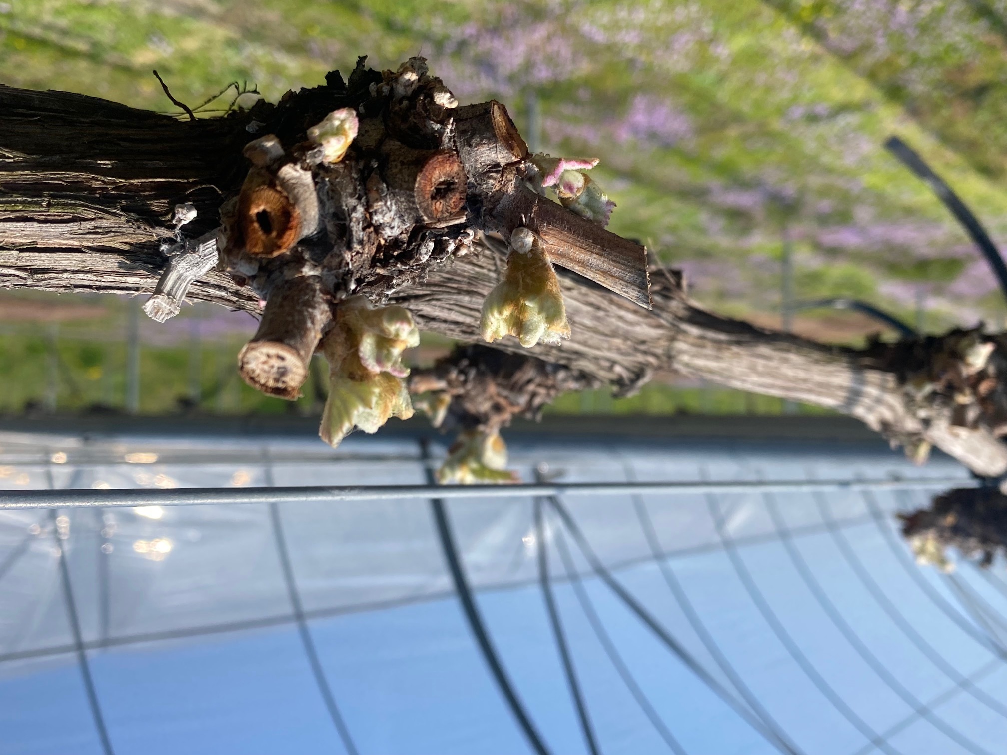 3d8d069adcee12bc8326e1d287783ceb6e3146db