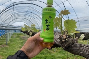 4d6b26e74b7e2af697c7bd141ffbe842824195c8