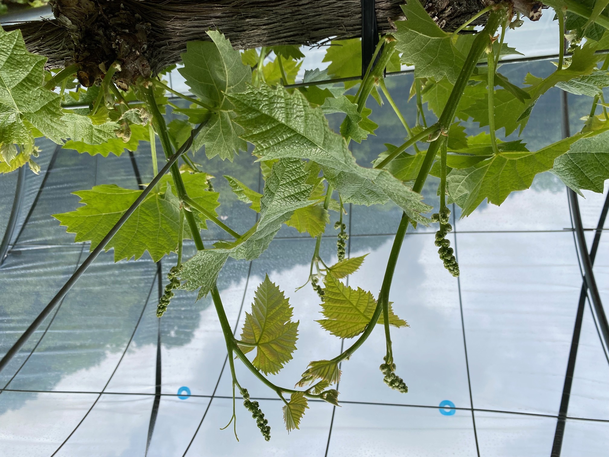 64d5b3cc002e4a6e0c33cc32ace45c4428407452