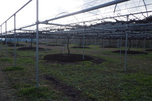 6e1214cd2f2f461d2710022a8db020c72139599e