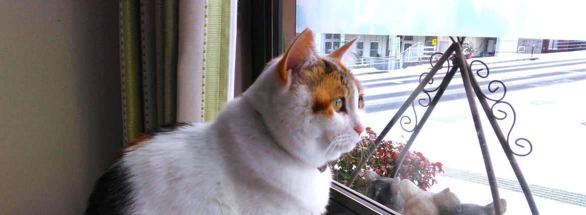 6e35c64d7d49cae54d48fec08f0b08c2cbce7243