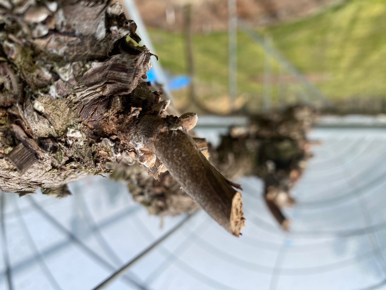 7b8c6b30d28213837bc1efcb70bd6f5aaf1e9312