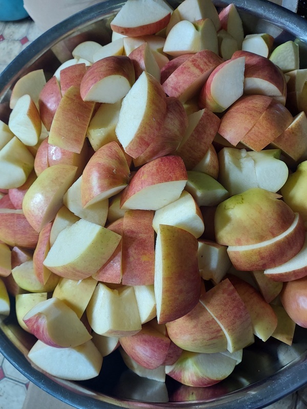 20230910_102535.jpg