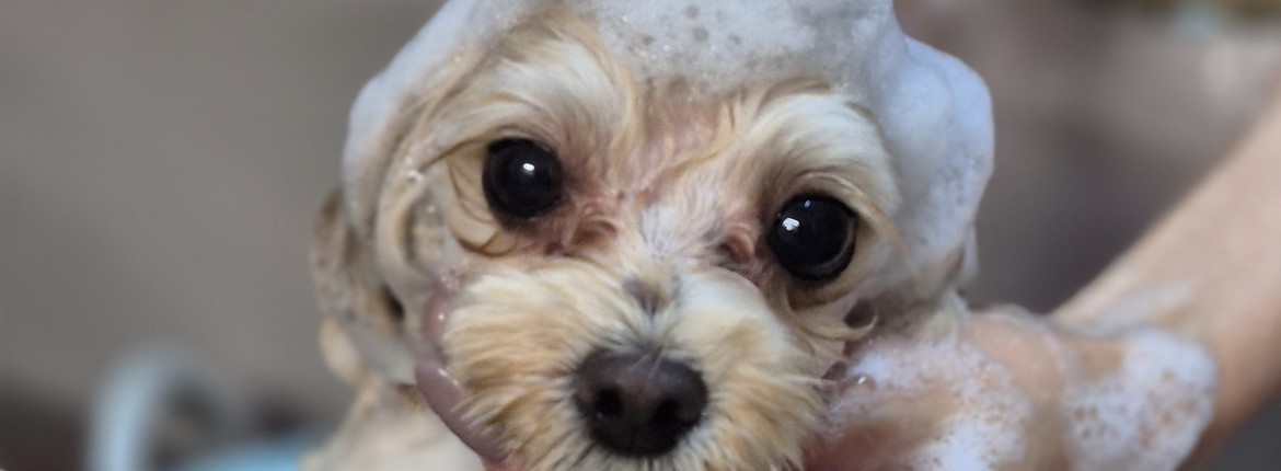 85146d093faef85f19bdc62dc9487ea38947a91f