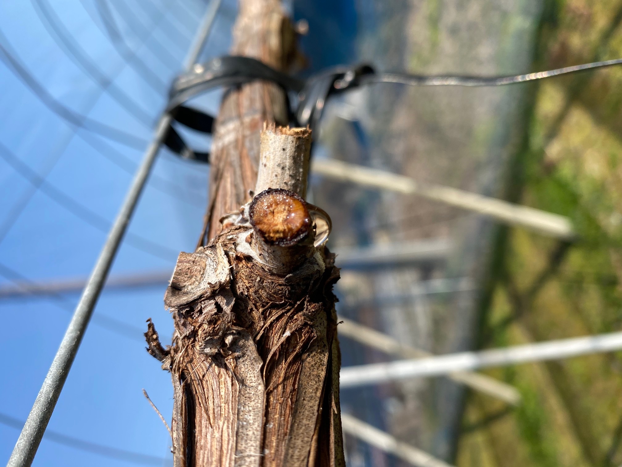 87449a850af361df971b280c22c387b37f0b1038