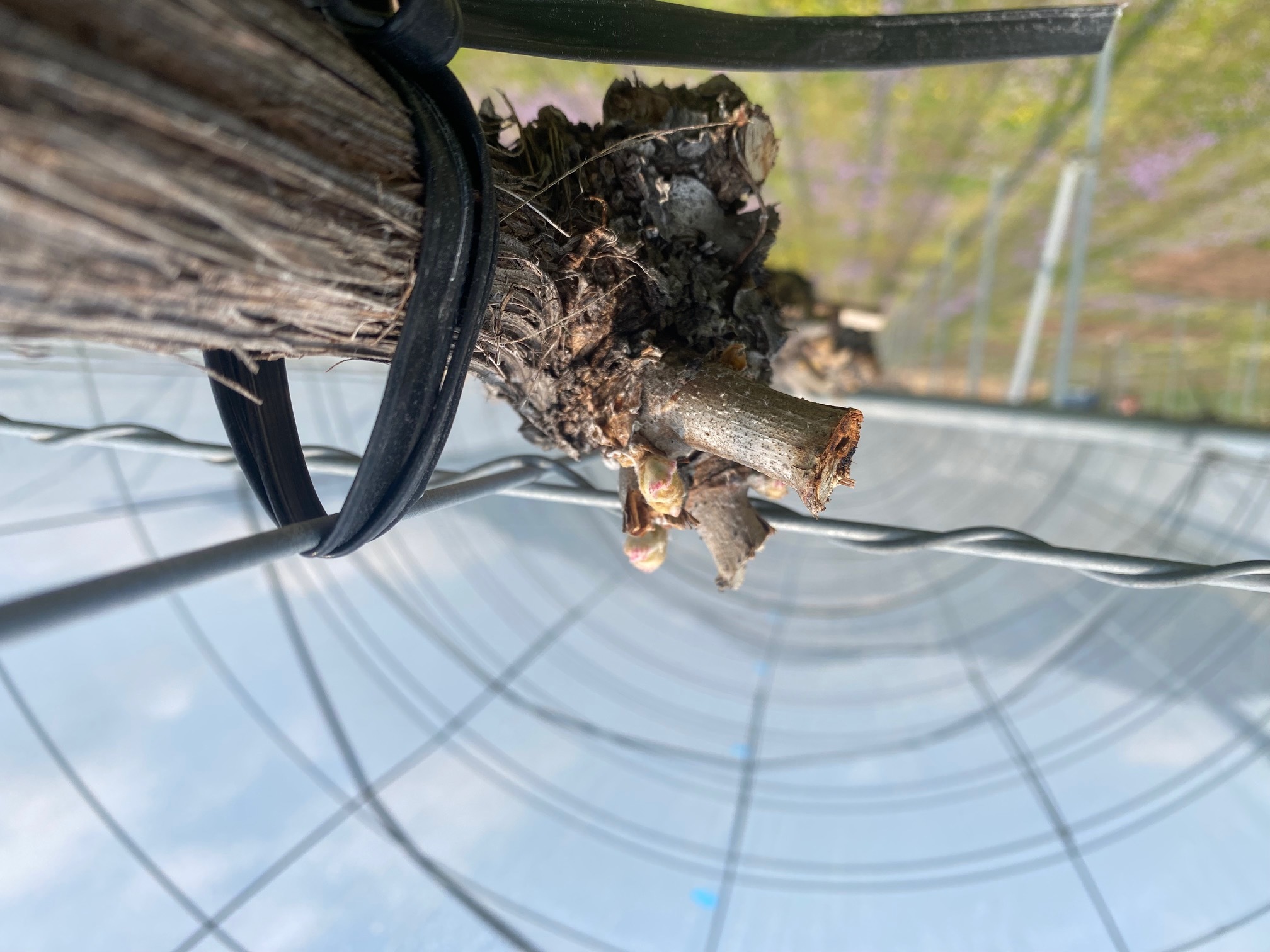 883696b347ccbaf5ed221b1c59e14a68bffdf6b4