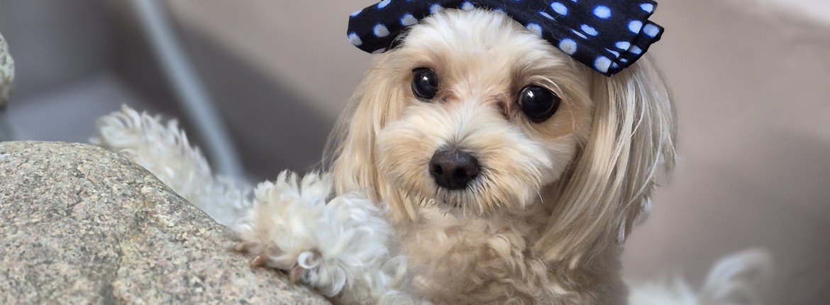 9085b3926ac300690abbb7693a0917f61f5f651e