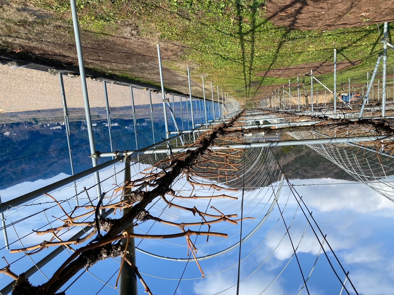 A9b3fd927f8a7d102cfa48918ff2de75cad36f8b