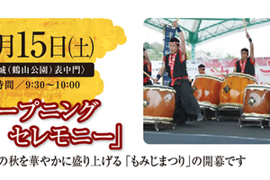 B100f20d101df0d2d76de5ccd2f400d69b3e6387