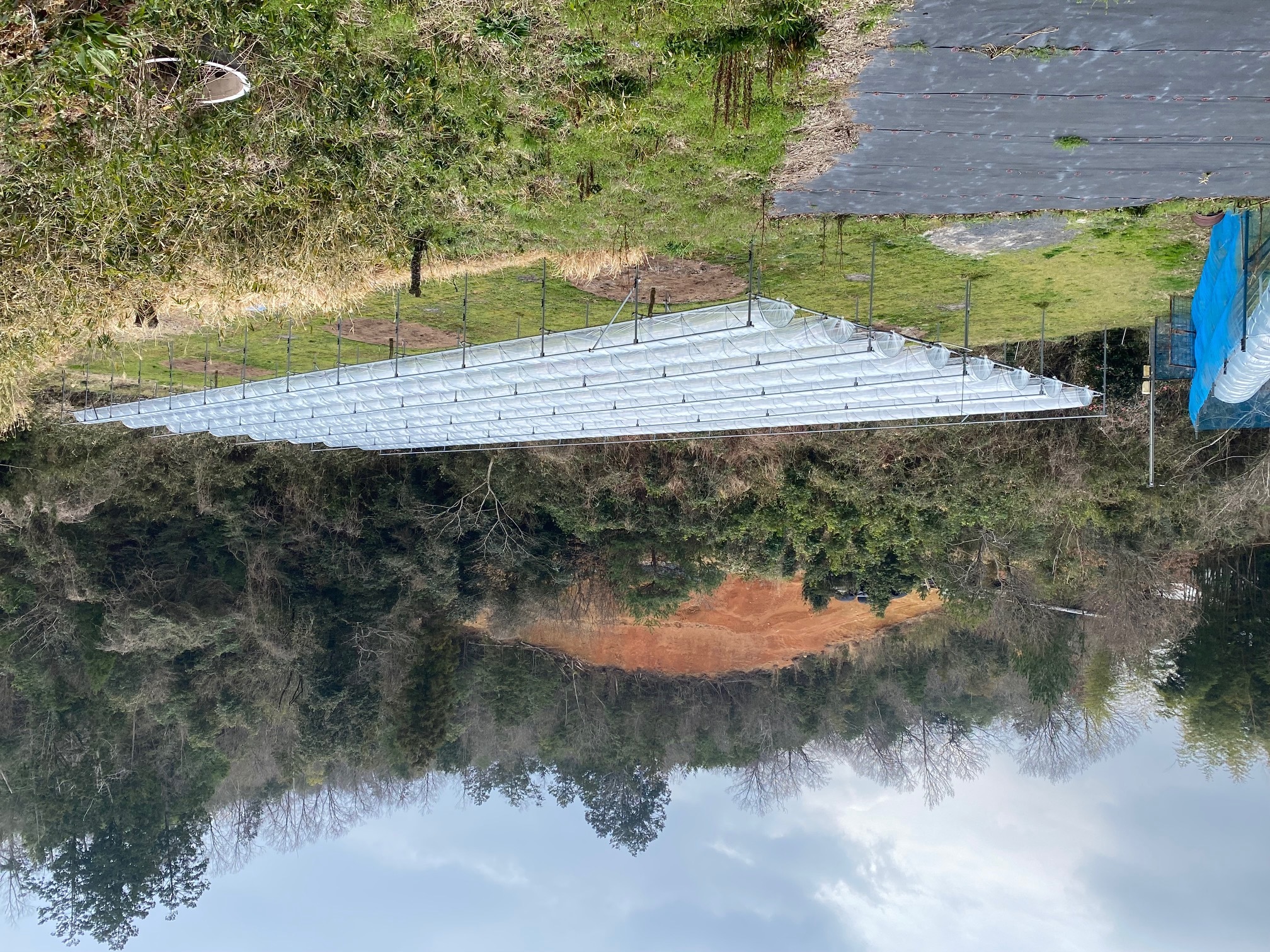 B661a66fe97ec34d76a034c63ba1244ff8a6cc37