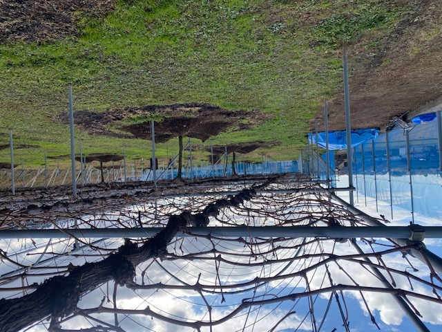 B97889c1a4aa46e2db20049fde0d34a8d1cf2868