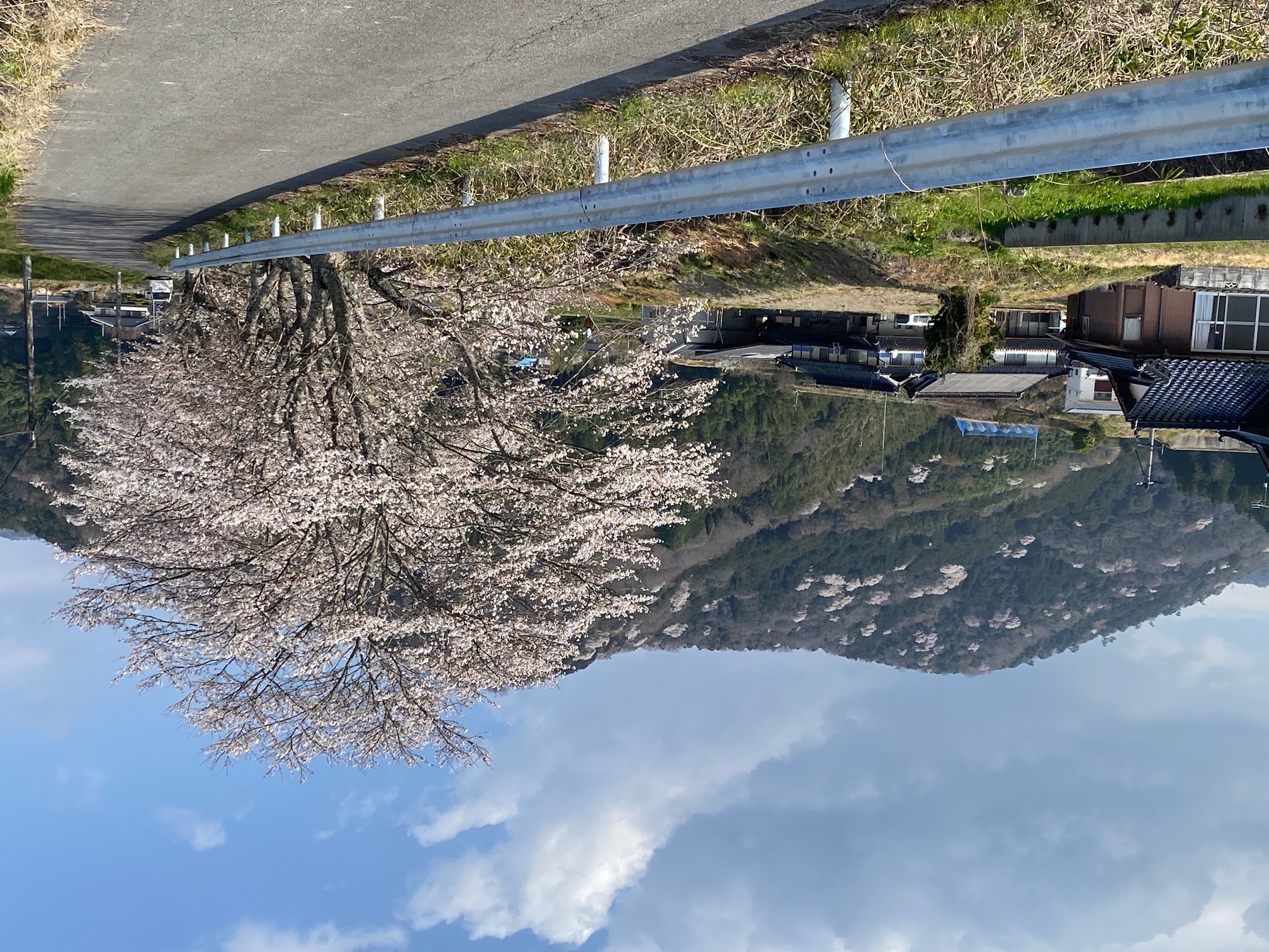 B9ef4ab0df163412b9362f47b768a418692d0c74