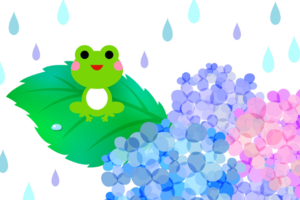 C02a0e3f1eff61a7a65c6ebfacec77aa080f6430
