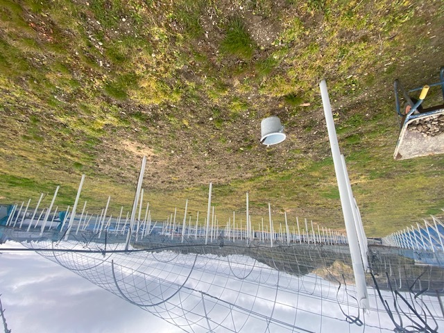 C0ba2783ab73ef88e083cae2e8ed9cc312519e2f