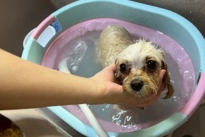 C3b0e1c8ac94a24c74f00fb98648dbceaf60c423