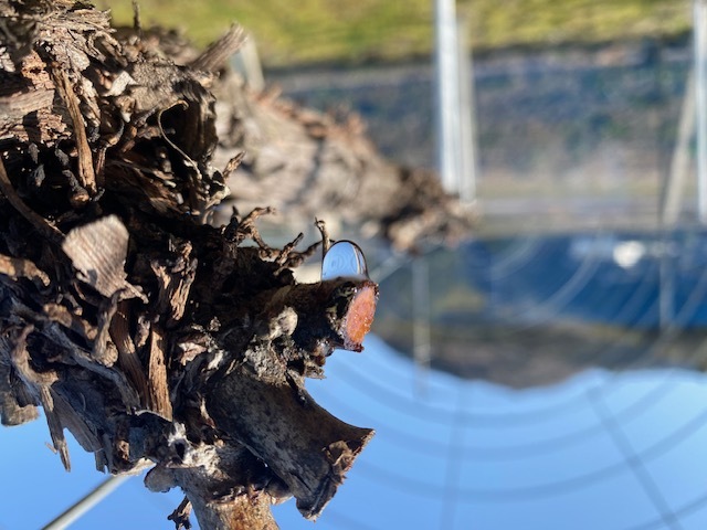 D17c191b3dabdc679fbf3b7d071c36c7511050d2