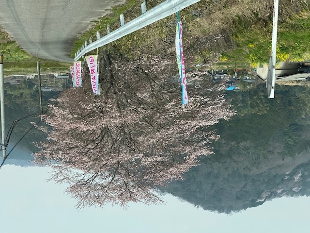 D2d1b435000d89752ed714a8682868c0c83f443b