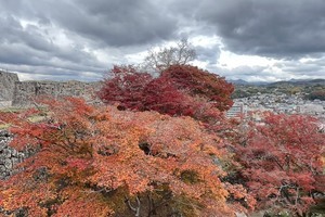 E3a6f1b89da40e979b4d115e06cc24fe5402c4bb