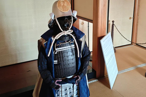 E78fd848227e857b542d2ff51f15319a0371f519