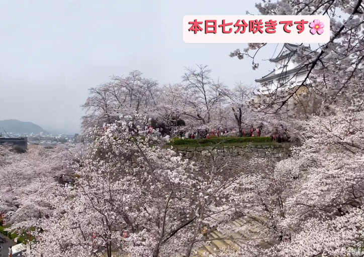 森忠政の甲冑（複製）の展示