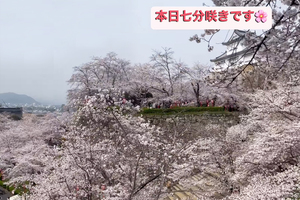 F5a72bf6f355d966a6c50afc8ab3757bcd4037c6