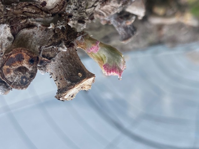 F6b9de05946fa72ba6949c3cfb47299391ddec22