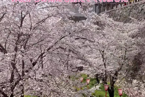 F710231028ecbaa7b6590c5f46a1179a844c15d2